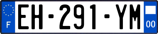 EH-291-YM