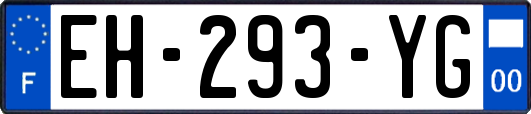 EH-293-YG