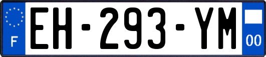 EH-293-YM