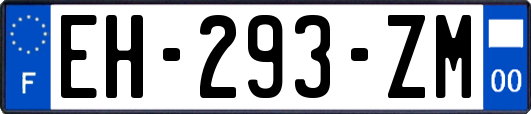 EH-293-ZM