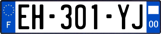 EH-301-YJ