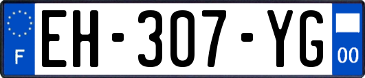 EH-307-YG