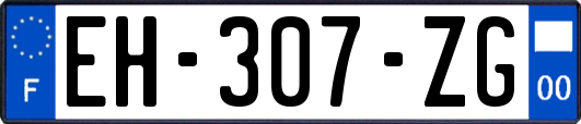 EH-307-ZG