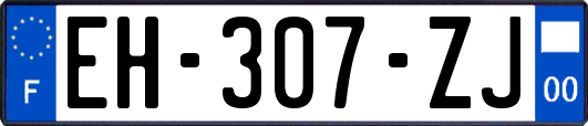 EH-307-ZJ