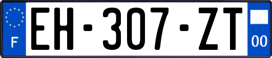 EH-307-ZT