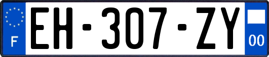 EH-307-ZY