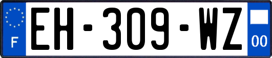 EH-309-WZ