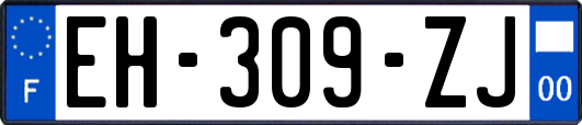 EH-309-ZJ