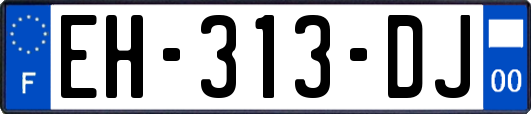 EH-313-DJ