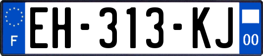 EH-313-KJ