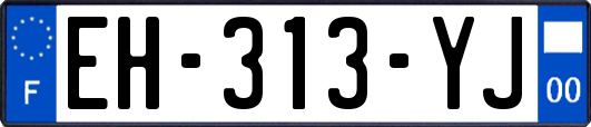 EH-313-YJ