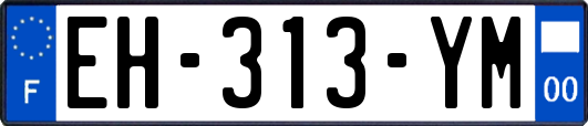 EH-313-YM