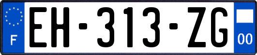 EH-313-ZG