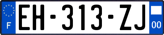 EH-313-ZJ