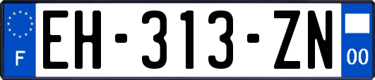 EH-313-ZN