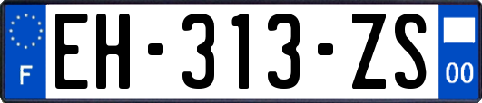 EH-313-ZS