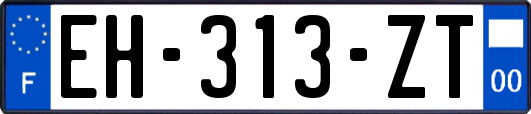 EH-313-ZT