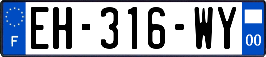 EH-316-WY