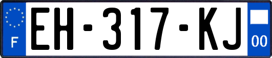 EH-317-KJ