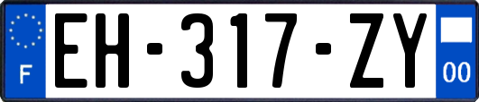 EH-317-ZY