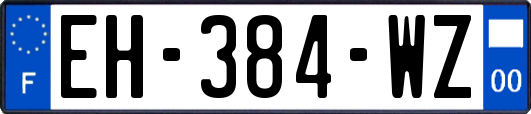 EH-384-WZ