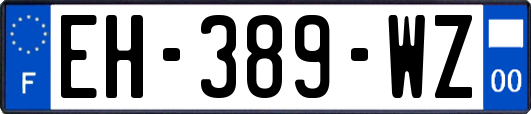 EH-389-WZ