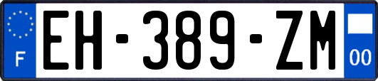 EH-389-ZM