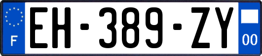 EH-389-ZY