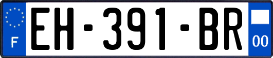 EH-391-BR