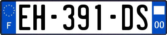 EH-391-DS