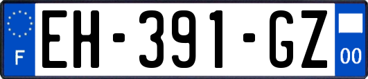 EH-391-GZ