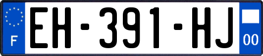 EH-391-HJ