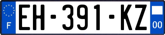 EH-391-KZ