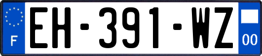 EH-391-WZ