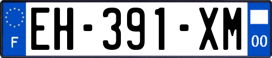 EH-391-XM