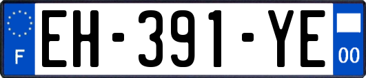 EH-391-YE