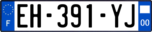 EH-391-YJ