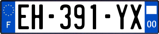 EH-391-YX