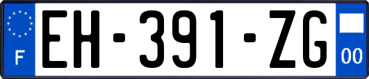 EH-391-ZG