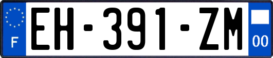 EH-391-ZM