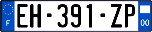 EH-391-ZP