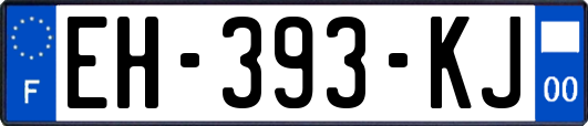 EH-393-KJ