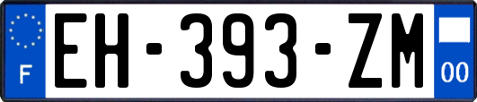 EH-393-ZM