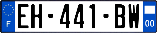 EH-441-BW