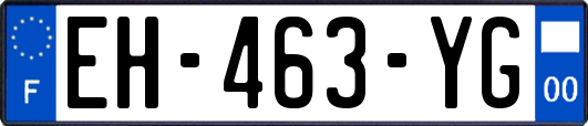 EH-463-YG