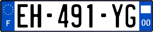 EH-491-YG