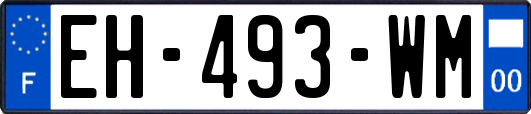 EH-493-WM