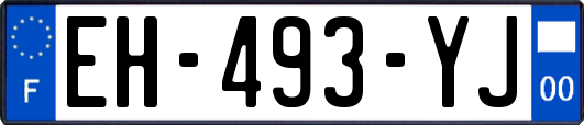 EH-493-YJ