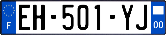 EH-501-YJ