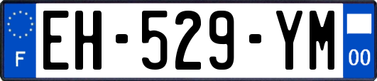 EH-529-YM